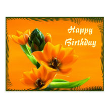 Dubium del Ornithogalum Tarjeta Postal