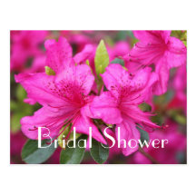 Ducha nupcial, flores rosadas de la azalea postal