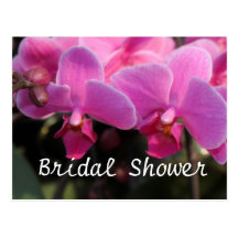 Ducha nupcial, flores rosadas de la orquídea postales