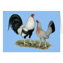 Duckwing de plata Gamefowl Tarjeta
