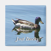 ¡Ducky justo! Iman De Nevera