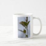 dude el sueño tazas