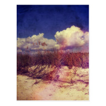 Dunas de arena de Carolina del Sur tarjetas postales