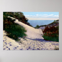 Dunas de arena de Gary Indiana el lago Michigan Posters
