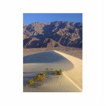 Dunas de arena escultura fotografica