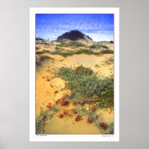 Dunas de arena - Isla Magdelena- Baja Poster