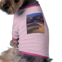 Dunas de arena ropa para mascota