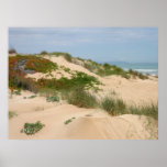 Dunas del poster de la costa