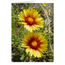 Dúo amarillo del Wildflower F0008 Tarjetas