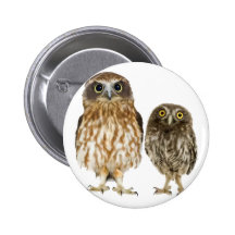 Dúo del búho pins