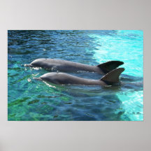 Dúo náutico poster