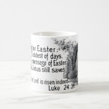 E TAZAS DE CAFÉ