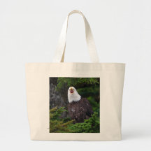 Eagle Bolsas