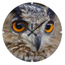 Eagle-búho eurasiático