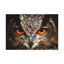Eagle-Búho Impresiones De Lienzo