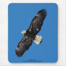 Eagle calvo alfombrilla de raton