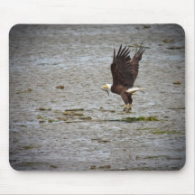 Eagle calvo alfombrilla de ratones
