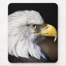 Eagle calvo alfombrillas de ratones