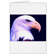 Eagle calvo - American Eagle Felicitacion