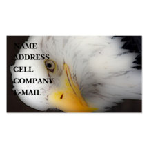 'Eagle calvo americano en Portrait Tarjeta Personal