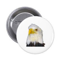 Eagle calvo americano pin
