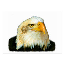 Eagle calvo americano tarjeta de visita