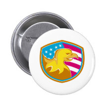 Eagle calvo con las barras y estrellas americanas pin