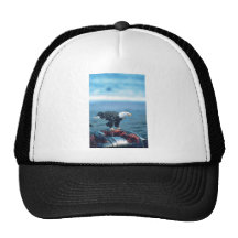 Eagle calvo en la res muerta de la ballena gorras de camionero