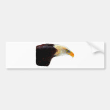 Eagle calvo etiqueta de parachoque