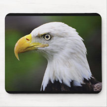 Eagle calvo meridional Mousepad Alfombrillas De Ratones
