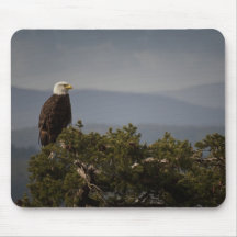 Eagle calvo - Mousepad Tapetes De Ratón