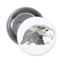 Eagle calvo pins