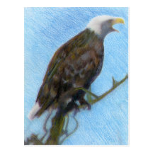Eagle calvo que grita en un árbol postal