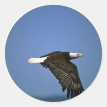 Eagle calvo que vuela a través de horizonte pegatina redonda