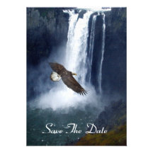 Eagle calvo que vuela por las tarjetas de la invit