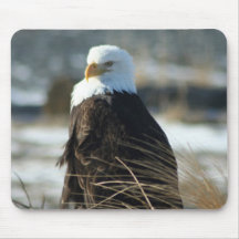Eagle calvo tapete de raton
