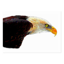 Eagle calvo tarjeta de negocio
