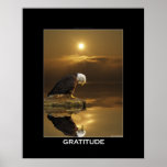 Eagle calvo y poster del alcohol de la fauna de la