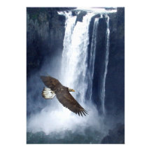 Eagle calvo y tarjetas de la invitación de la casc