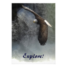 Eagle calvo y tarjetas de la invitación de las cas