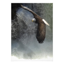 Eagle calvo y tarjetas de la invitación de las cas