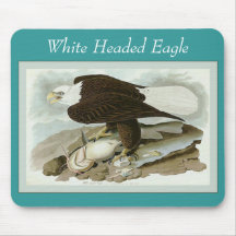 Eagle de cabeza blanca tapetes de ratones