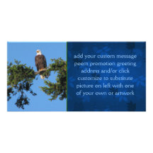 Eagle en árbol tarjeta con foto personalizada