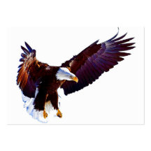 Eagle en vuelo plantilla de tarjeta personal