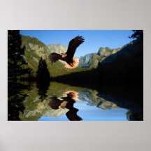 Eagle-Flight-8 Poster