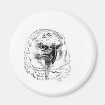 Eagle Imán De Frigorifico