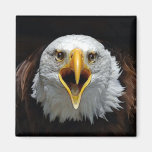 EAGLE IMÁN PARA FRIGORIFICO