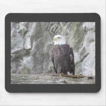 Eagle majestuoso tapete de raton