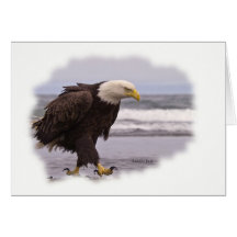 Eagle que pisa fuerte tarjeta