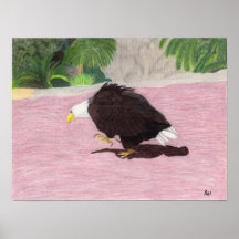 Eagle solo impresiones
